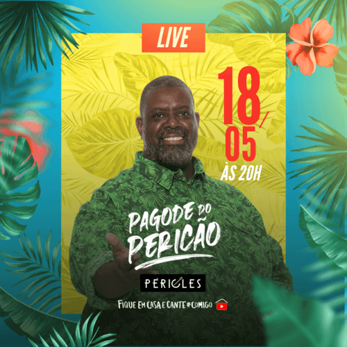 Projetos-FLX-Feed (12)